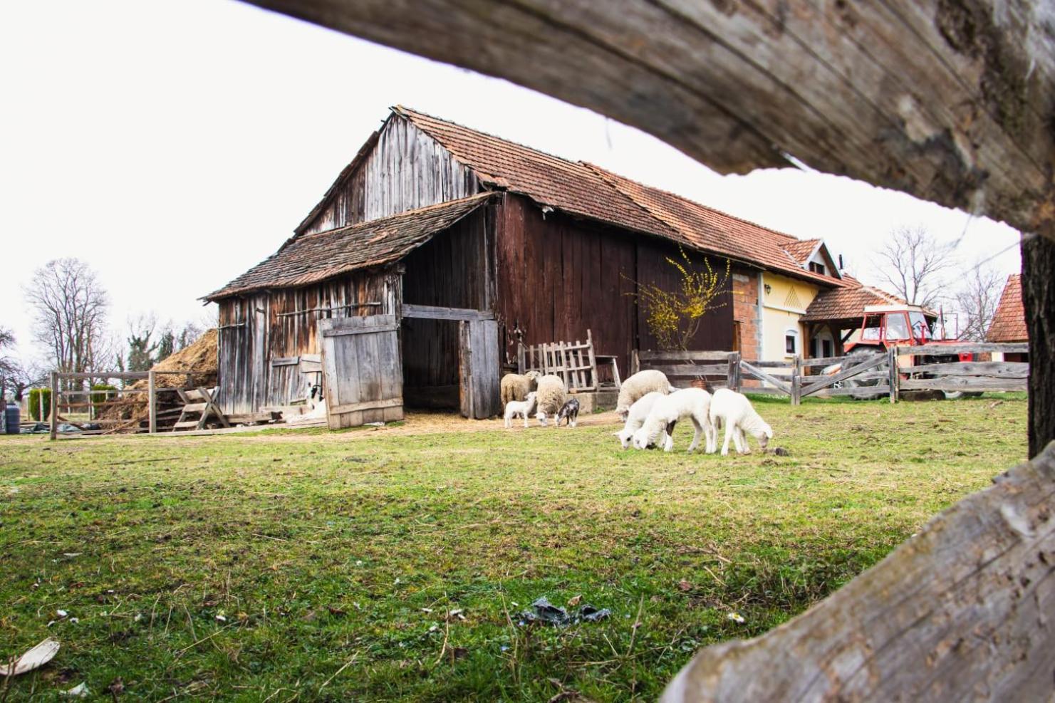 Country House Ivancan Molve Zewnętrze zdjęcie
