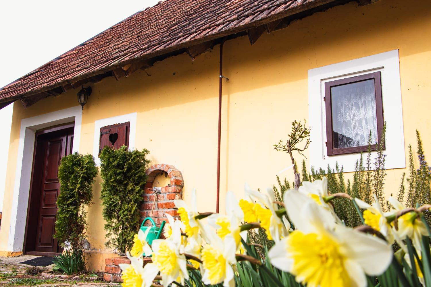 Country House Ivancan Molve Zewnętrze zdjęcie