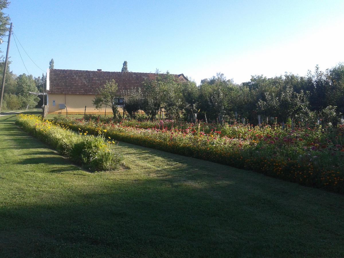 Country House Ivancan Molve Zewnętrze zdjęcie